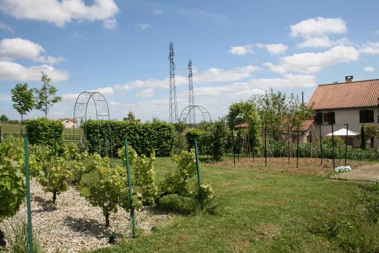1 Bedroom House 20Min Walk To Centre In Tournus Esterno foto